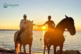 Horseback riding with swimming in the sea
